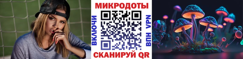 Галлюциногенные грибы Psilocybe  omg как зайти  Чайковский 