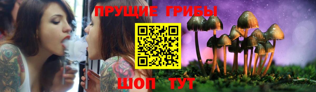 Галлюциногенные грибы MAGIC MUSHROOMS  Вход с VPN  Псилоцибиновые грибы Psilocybine cubensis  Чайковский 